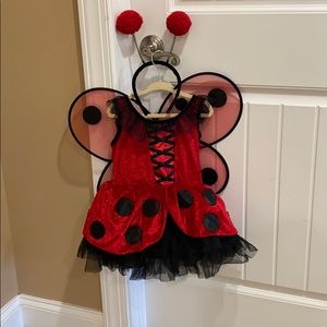 Lady Bug Costume with wings & head piece